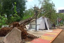 539d85af 9ded 4ab5 9b71 9aac1d5a0ab1