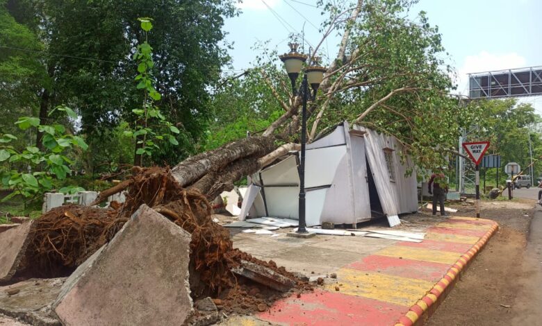 539d85af 9ded 4ab5 9b71 9aac1d5a0ab1