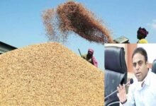 किसानों को पेमेंट में जबलपुर की उपलब्धि, पिछले साल की तुलना में कम हुई खरीदी 10 Untitled 1 copy 2