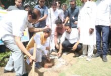 मुख्यमंत्री ने किया पौधारोपण : कहा- यह धरती को बचाने में महत्वपूर्ण भूमिका निभाते हैं 11 WhatsApp Image 2022 06 02 at 11.10.39 AM 1