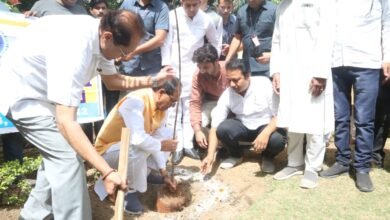 मुख्यमंत्री ने किया पौधारोपण : कहा- यह धरती को बचाने में महत्वपूर्ण भूमिका निभाते हैं 8 WhatsApp Image 2022 06 02 at 11.10.39 AM 1