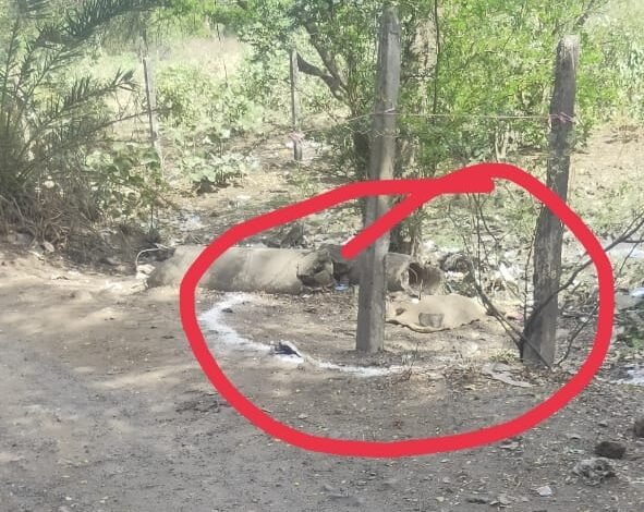 घाना मे मिले बम की जांच करने पहुंची आई बी टीम : एल पी आर से कैसे पहुंचा एयरफोर्स का बम, जांच जारी 1 WhatsApp Image 2022 06 04 at 3.33.39 PM