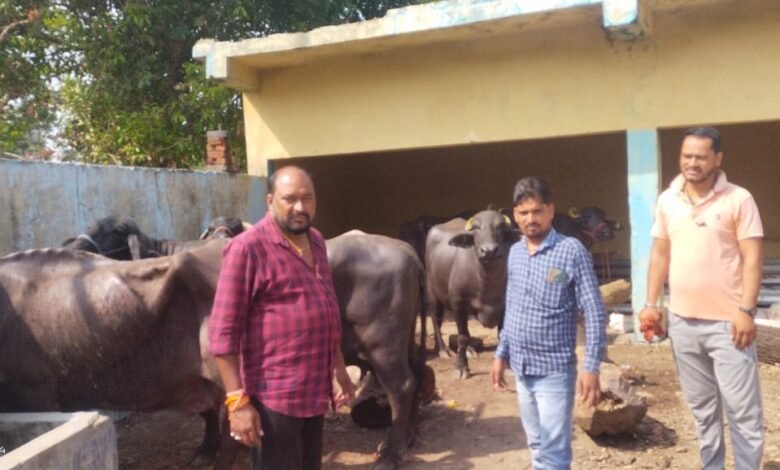 पशु तस्कर गिरोह के 4 गुर्गों को पुलिस ने दबोचा : उत्तर प्रदेश कटने जा रहे थे 27 पशु, दमोह से पीछा कर रहे थे गौ रक्षक , कटंगी में धराए …..देखें पूरा वीडियो….. 1 WhatsApp Image 2022 06 23 at 1.44.57 PM