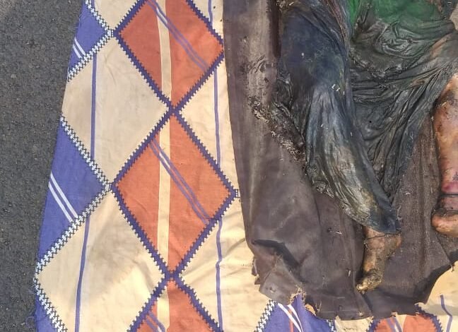 Jabalpur news - नाले में मिला महिला का शव, हत्या की आशंका! : शव डीकंपोस्ड होने से नहीं हो सकी शिनाख्त 1 WhatsApp Image 2022 06 28 at 3.08.40 PM