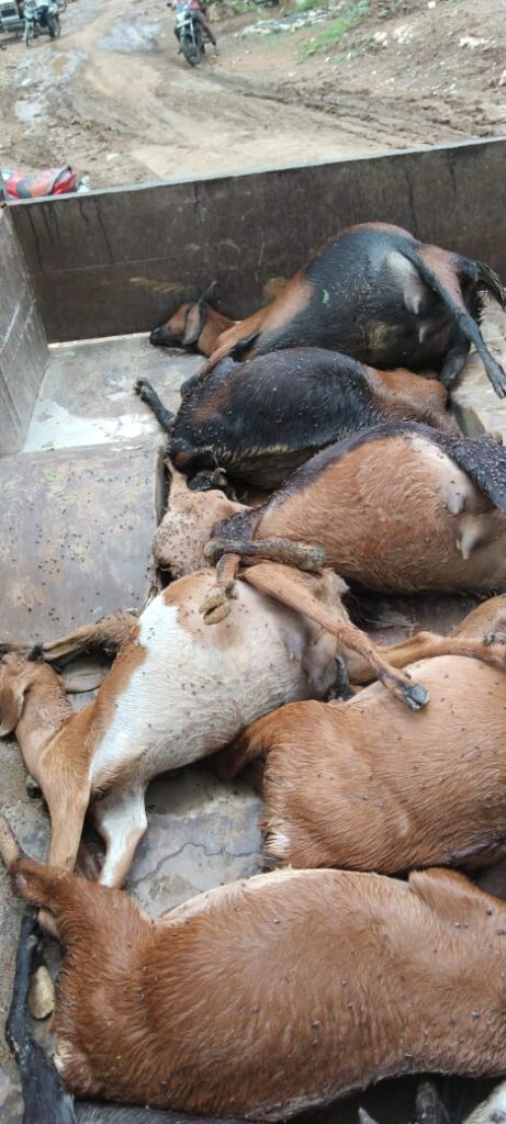 WhatsApp Image 2022 06 30 at 12.57.14 PM