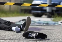 शहपुरा-ग्वारीघाट में दो युवकों की दर्दनाक मौत : ट्राले के बीच में फंसकर खुल गया सिर 11 accidents