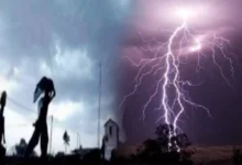 113f8e8a 1deb 46fb 9ccd 760306418acc