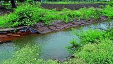 मछलियों का शिकार करने के लिए नहर में करंट फैलाया, युवक की मौत 8 25 07 2022 tinsa canal in jabalpur