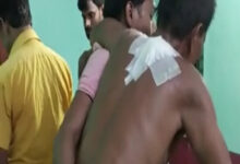 492 492 15326797 645 15326797 1652943754400