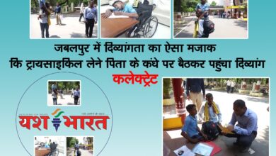 97dc0c87 5d25 4743 aefd 9a5315c08772