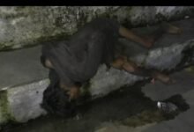 गोरखपुर में मिली युवक की संदिग्ध लाश : 5 दिन से यहीं रह रहा था युवक, पड़ताल जारी …देखें पूरा वीडियो…. 9 WhatsApp Image 2022 07 11 at 11.34.57 AM