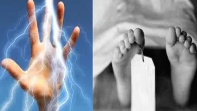 Jabalpur News पनागर में भोजन करने बैठे नाबालिग की दर्दनाक मौत : पंखा सुधारते हुए करंट से झुलसा 7 current 1