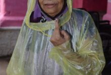 Live Yash Bharat Jabalpur: पनागर में प्रत्याशी मतदाताओं को खींचते नजर आए तो जबलपुर में वोट डालने बुर्जुगों में दिखा उत्साह 10 e2a4eebe 3600 4a7e b776 0b9bfa425008