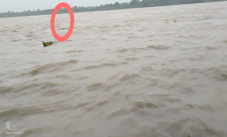 स्वर्गद्वारी में मिली युवक की लाश : 4 दिन पहले तिलवारा पुल से लगाई थी छलांग 1 narmada flood in mp news