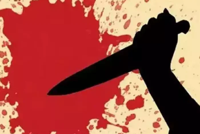 TI को चाकुओं से गोदा : 2 लाख लूटने वाले को पकड़ा; वो चिल्लाया तो साथियों ने हमला किया 1 navbharat times 3