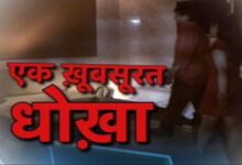 vardat 320 011014033239