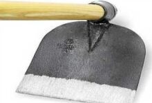 09 04 2016 spade g 090416