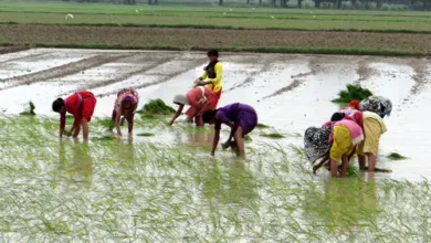 HH KND11AKB8 1562866366 1562866366