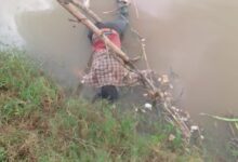 IMG 20220818 WA0099 1