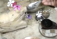 Screenshot 2022 08 26 13 33 15 803 com.whatsapp