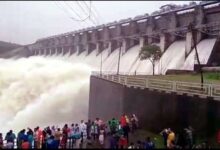 bargi dam 01 5067165 m