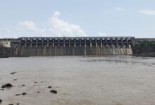 बरगी बांध के सभी गेटों को किया गया बंद : भारी बारिश के बाद जबलपुर में स्थिति हुई सामान्य 10 d085448a 79f6 45dd 8e32 938c11f8cbbc 1661394930840