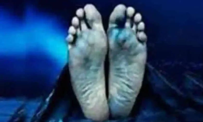 माढ़ोताल में दमोह के मजदूर की मौत! : कटंगी बायपास में बेहोश की हालत में मिला था अधेड़, जांच जारी 1 died 2105351 835x547 m