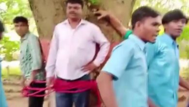 fgdfgdfgdgd 1024x701 1