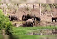 new project 20 1660988135