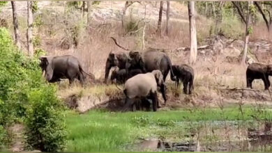 new project 20 1660988135