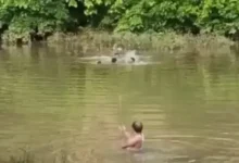 1831058 768 512 15936083 thumbnail 3x2 img 1