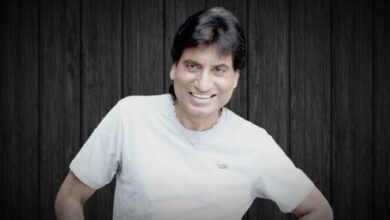 bvffhdsvhjgrnfg 678x381 1