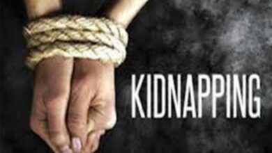 cgnews the girl kidnapped two youths from in front