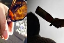 अधारताल में बियर की बाटल से फोड़ दिया सिर, आंख में चुभ गए कांच 10 images 3 1