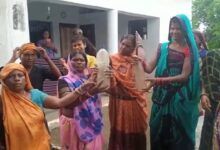 विद्यालय के पास चल रहा था मदिरालय : फिर महिलाओं ने किया ऐसा काम की देखते रह गए लोग.... 11 ll