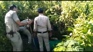 Screenshot 2022 10 14 13 32 33 494 com.whatsapp