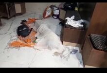 Screenshot 2022 1018 214716