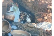 Screenshot 2022 1026 105623