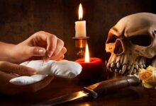 dfbfdsbfhg 678x381 1