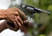 पत्नी की मौत के केवल 14 दिनों बाद ही हताश पति ने गोली मारकर की आत्महत्या 13 download