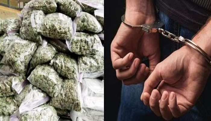 तस्करों के खिलाफ पुलिस की कार्रवाई : गांजा बेंच रहे 5 आरोपी, शराब तस्कर 77 आरोपी गिरफ्तार 1 ganja