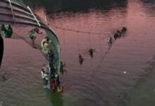 l9u6cjb cable bridge 650x400 30 October 22