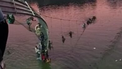 l9u6cjb cable bridge 650x400 30 October 22