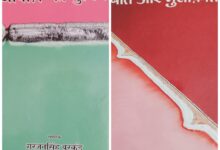 28b356d5 a4a9 4b3e 9e37 bd4d46ed870c