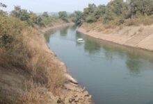 बड़ा हादसा टला : मानेगांव कैनाल में गिरी कार , बाल-बाल बचा चालक 13 IMG 20221110 124013