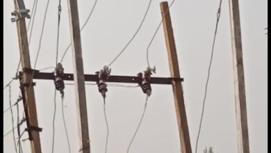 Screenshot 2022 11 12 15 11 59 005 com.whatsapp