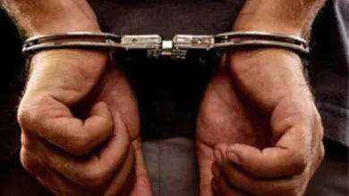 cc0303362da4533e71a122af2baa288a1661843353923359 original