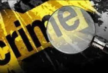 f313333e 1425 11ed 8541 07a16fca6ef1 1659804499523