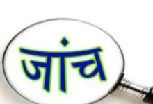 orig 2517 1648853258