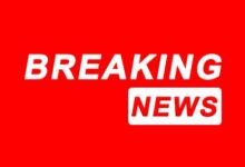 शाहरुख खान को मुंबई एयरपोर्ट पर कस्टम ने रोका : 7 लाख रुपए का जुर्माना लगा 10 unnamed